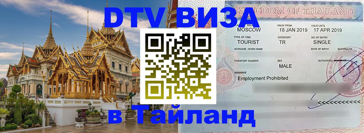 Оформление DTV визы под ключ: стоимость и тарифы, только загранпаспорт - Ковров  05.10.2025 